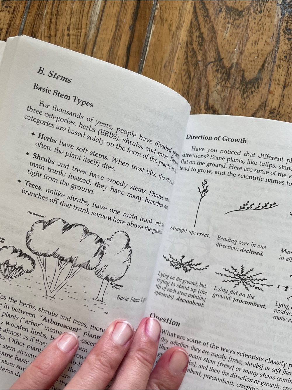Sonlight Curriculum Introduction to Biology by John Holzmann - Picture 5 of 8